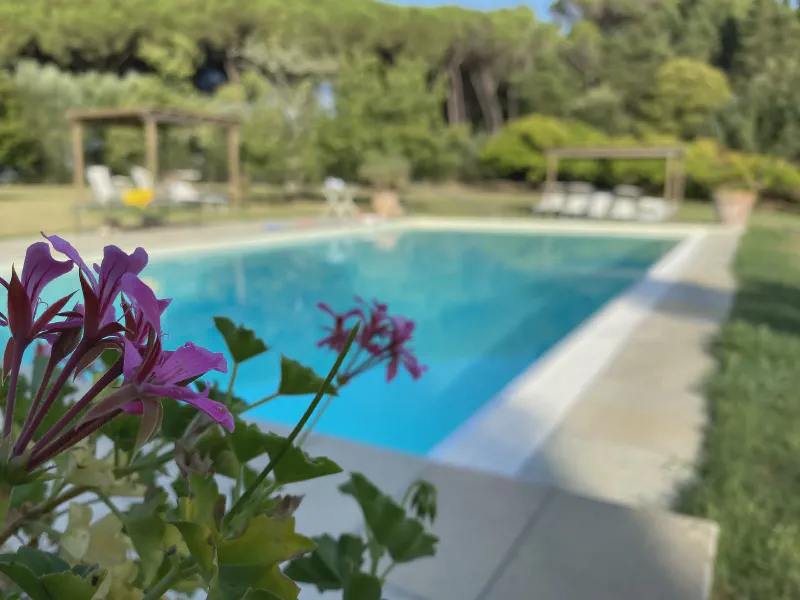 Blossoms by the Blue