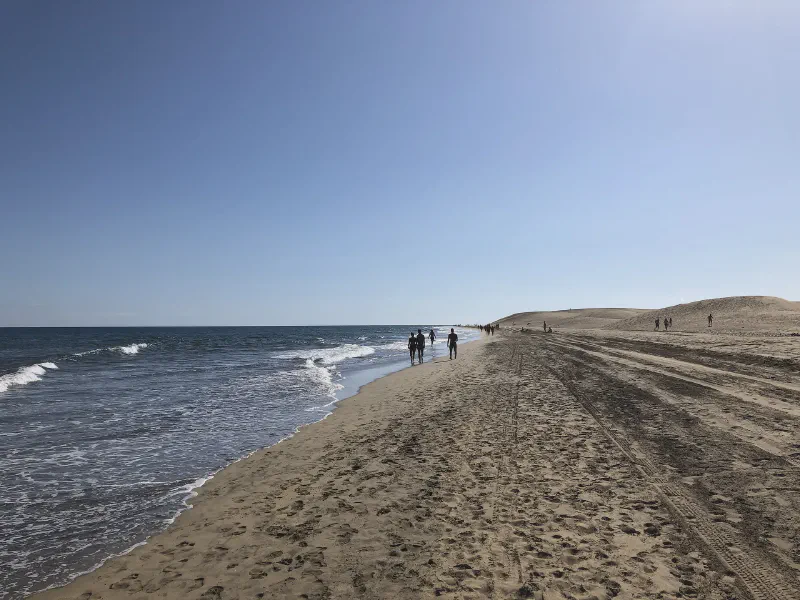 Wanderers on the Horizon