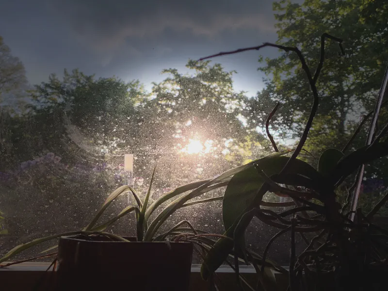 Sunrise Through Dusty Glass