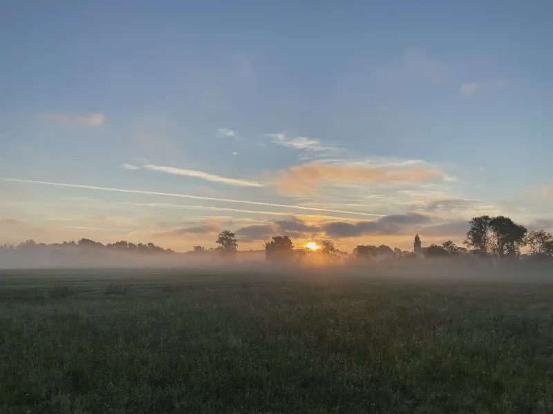 Dawn Through the Mist