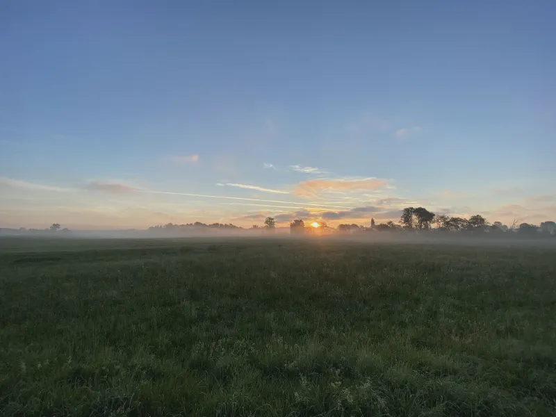 Misty Dawn Awakening