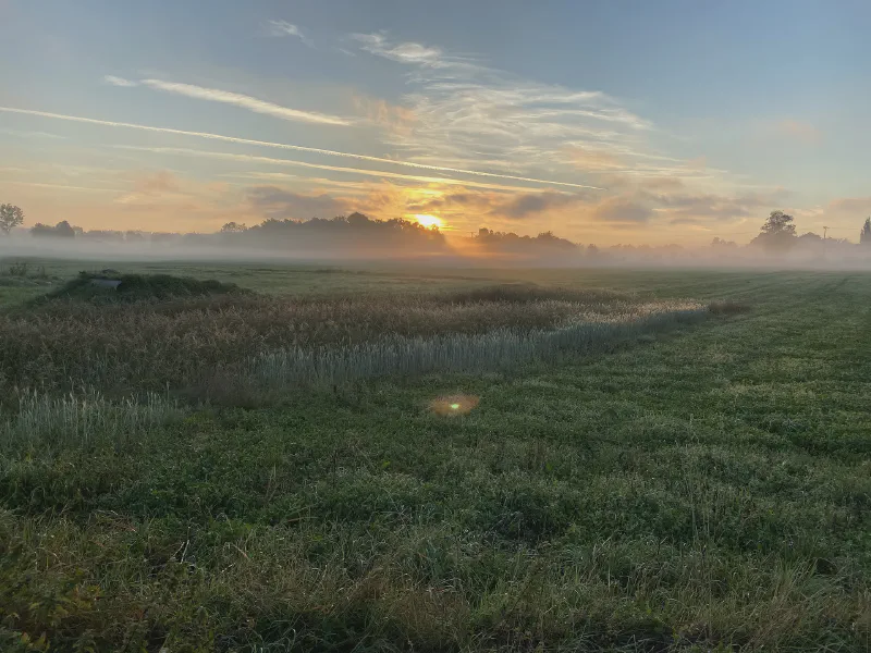 Misty Dawn Awakening