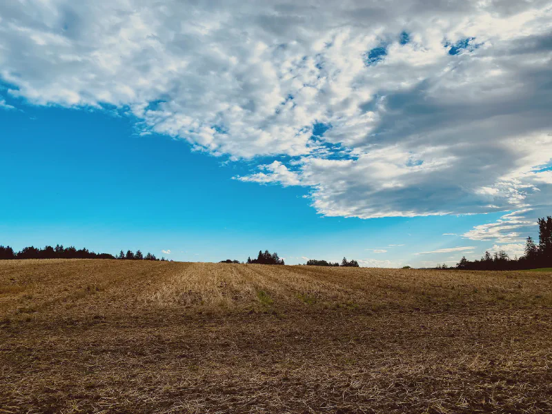Harvested Earth under Endless Skies