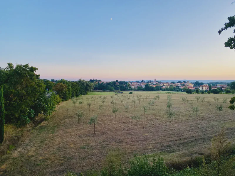 Fields Under a Crescent Moon