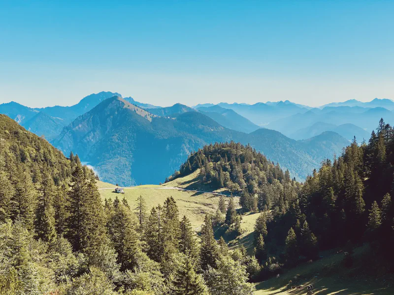 Whispers of the Blue Ridge