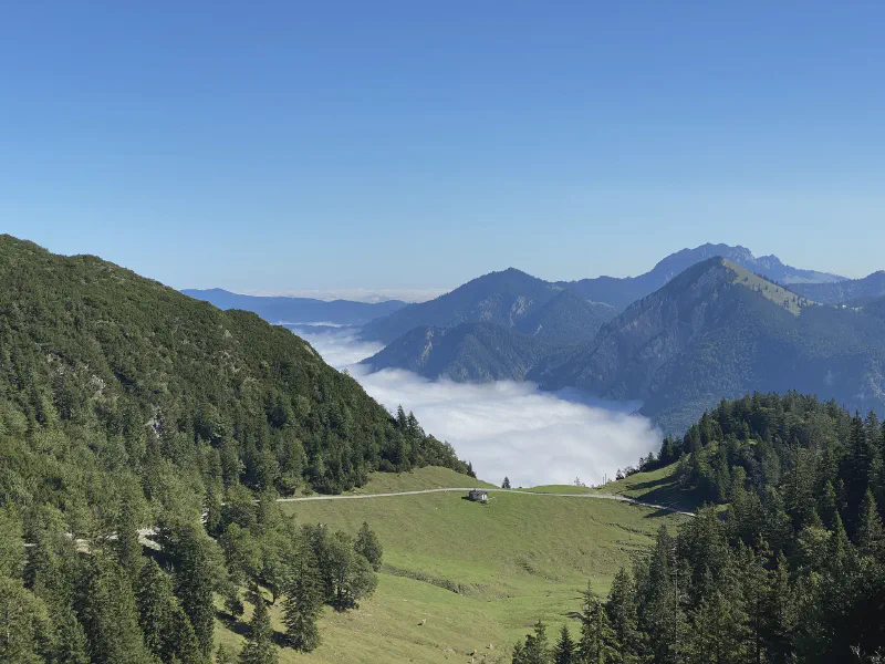 Embrace of the Morning Mist