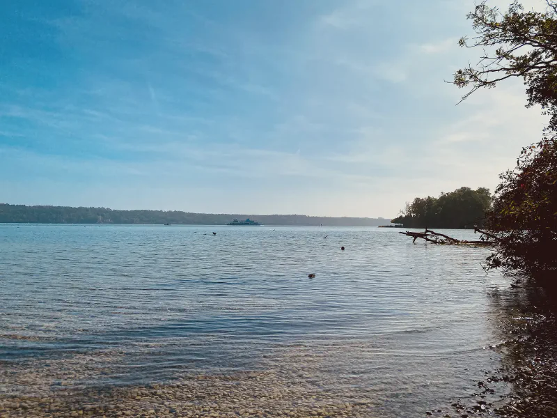 Tranquility on the Water's Edge