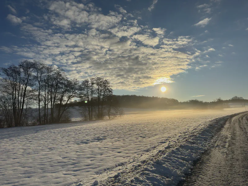 Winter Sun Awakening