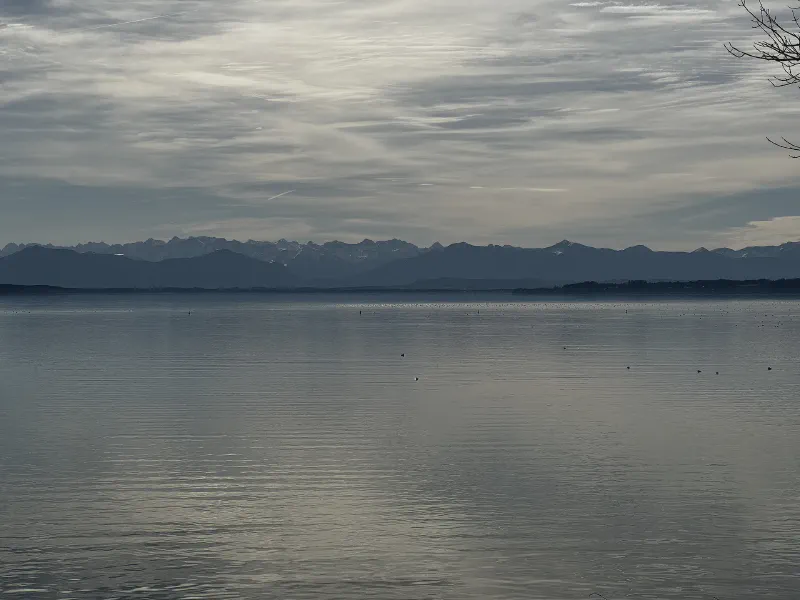 Whispers Across the Water