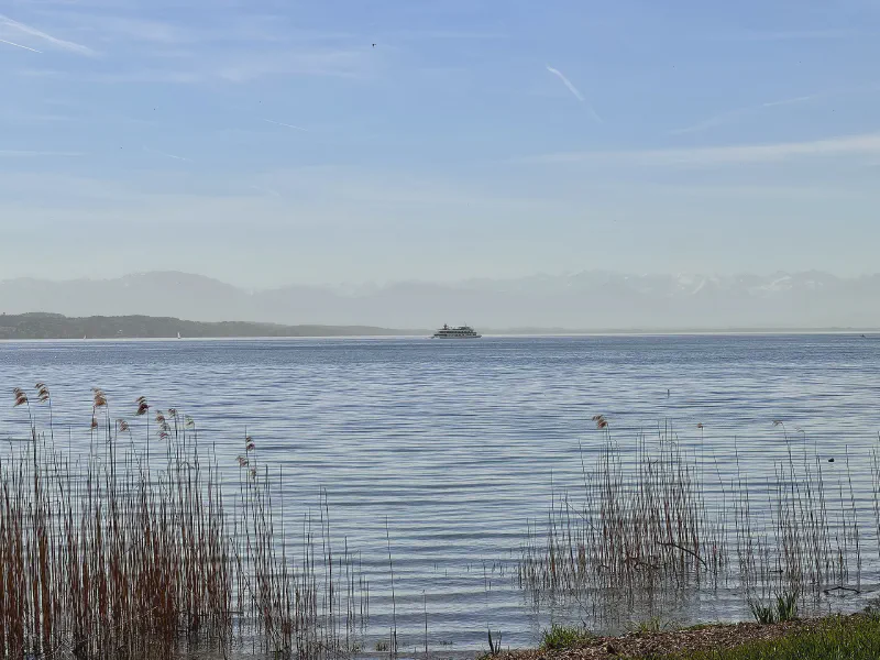 Serenity on the Horizon