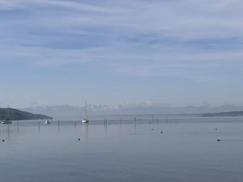 Serenity at the Water's Edge