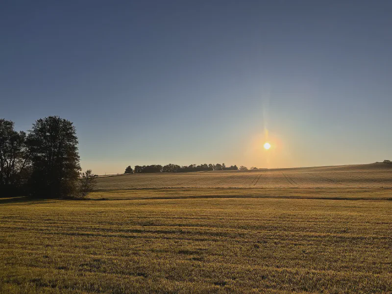 Golden Morning Tranquility