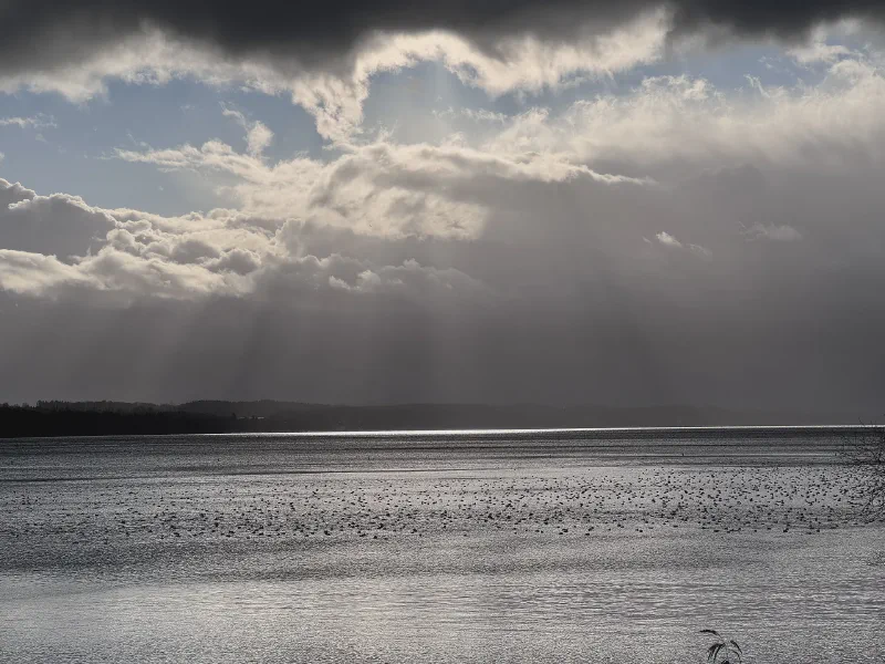 Silver Veil Over the Lake