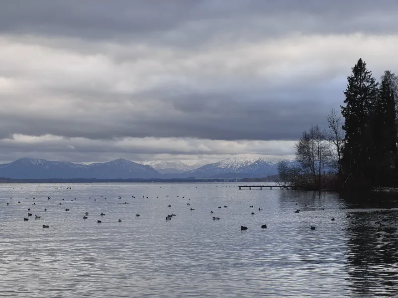 Whispers Across the Water